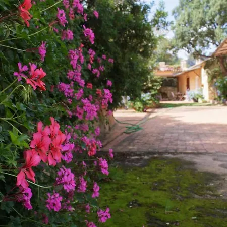 Le Corti Di Aloa Holiday home *